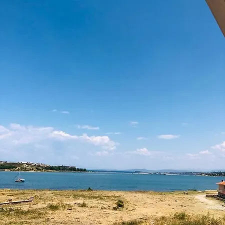 Demir Ayvalı